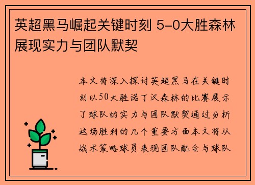 英超黑马崛起关键时刻 5-0大胜森林展现实力与团队默契