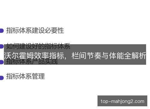 沃尔霍姆效率指标,栏间节奏与体能全解析 沃尔霍姆效率指标,栏间节奏与体能全解析